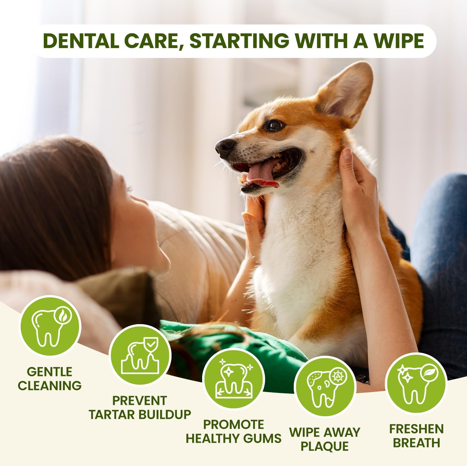 PawSono dog and cat home dental care demo image.