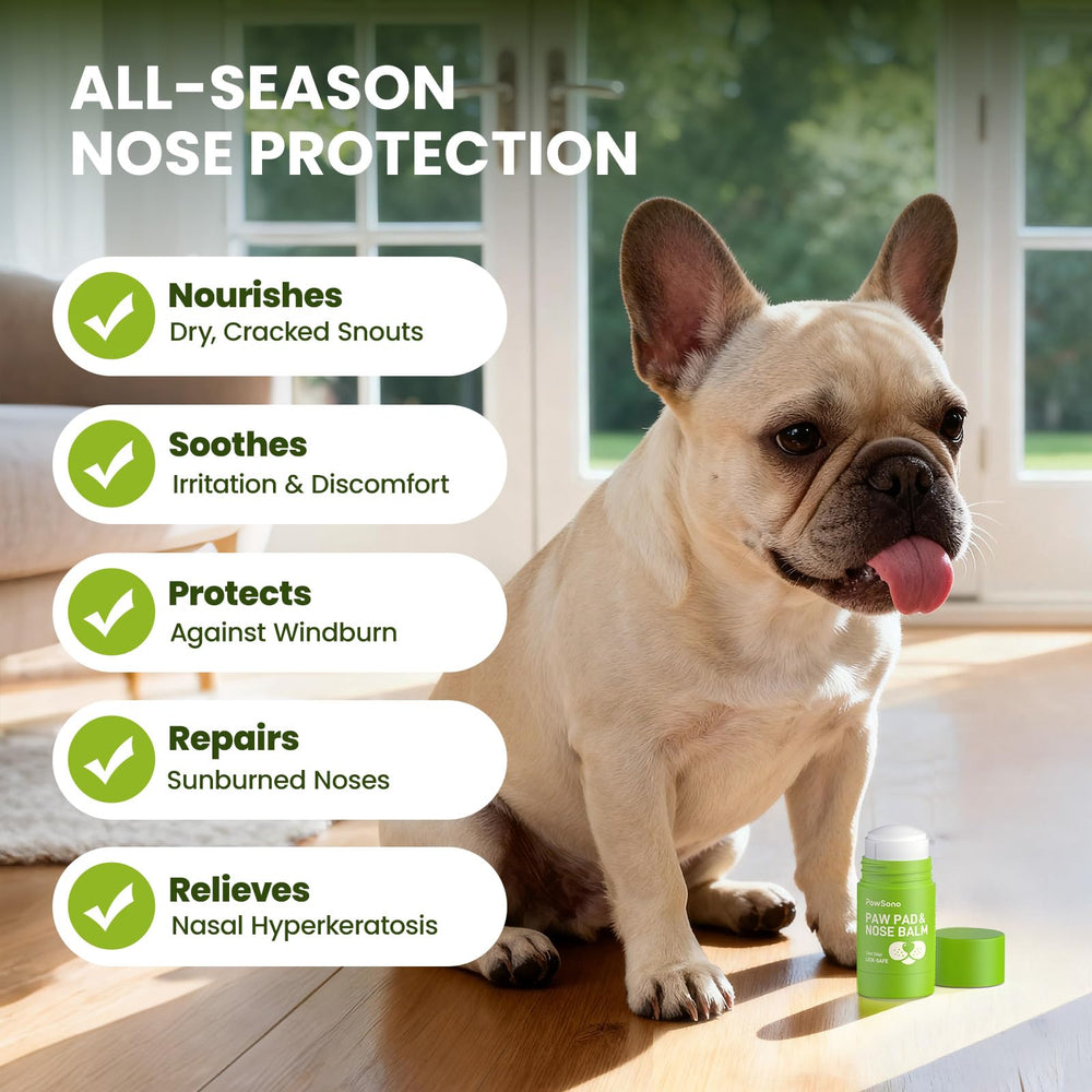 PawSono dog-walk-essentials conveys outdoor-ready care for pets during adventures.