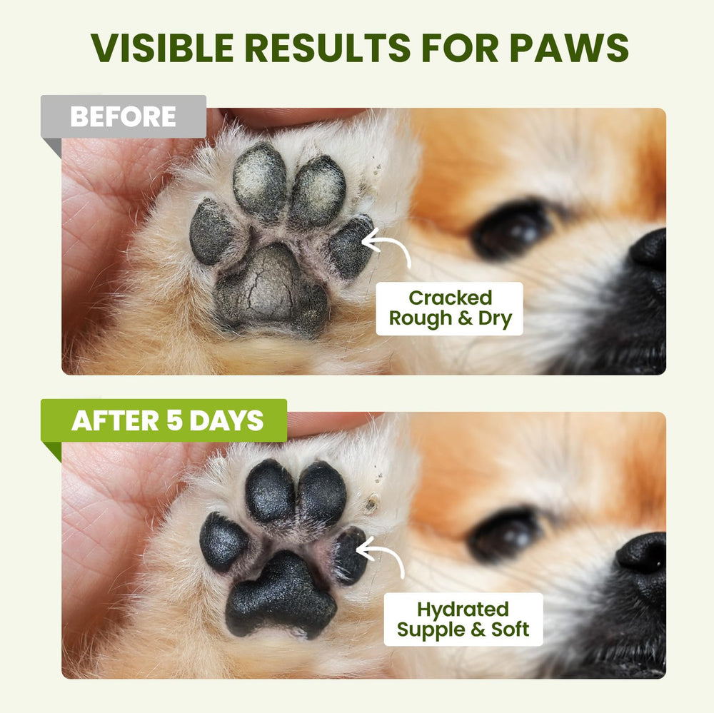 PawSono shea butter in balm soothing irritated paw skin.