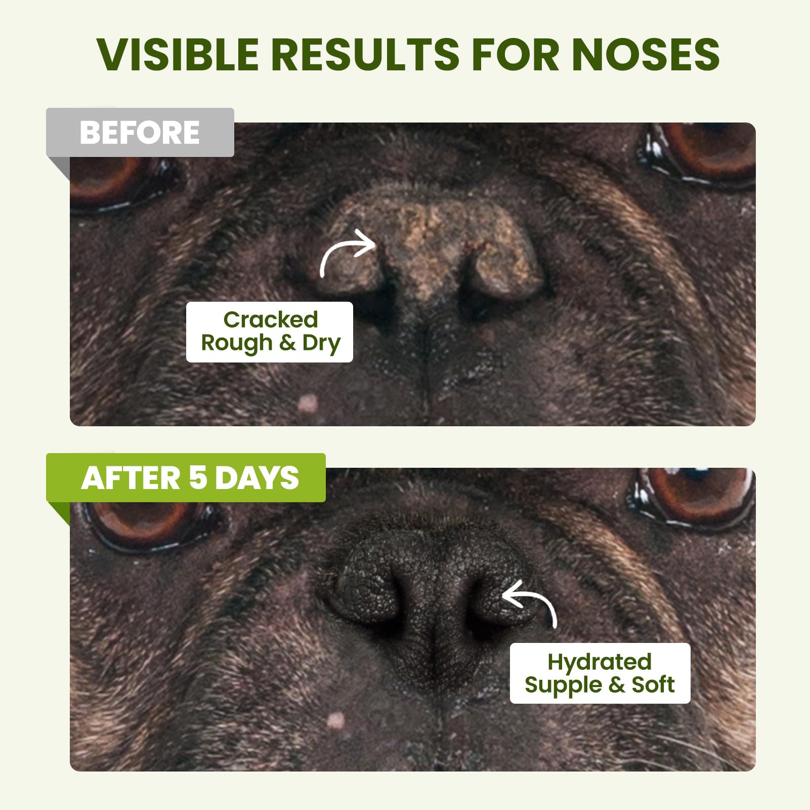 PawSono winter paw care scene demonstrating year-round protection.