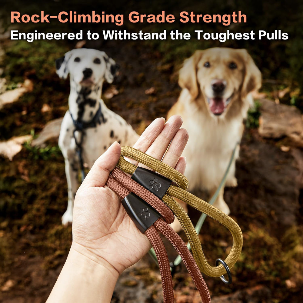PAWS PASSION 2-in-1 leash with seat belt buckle for safe car travel