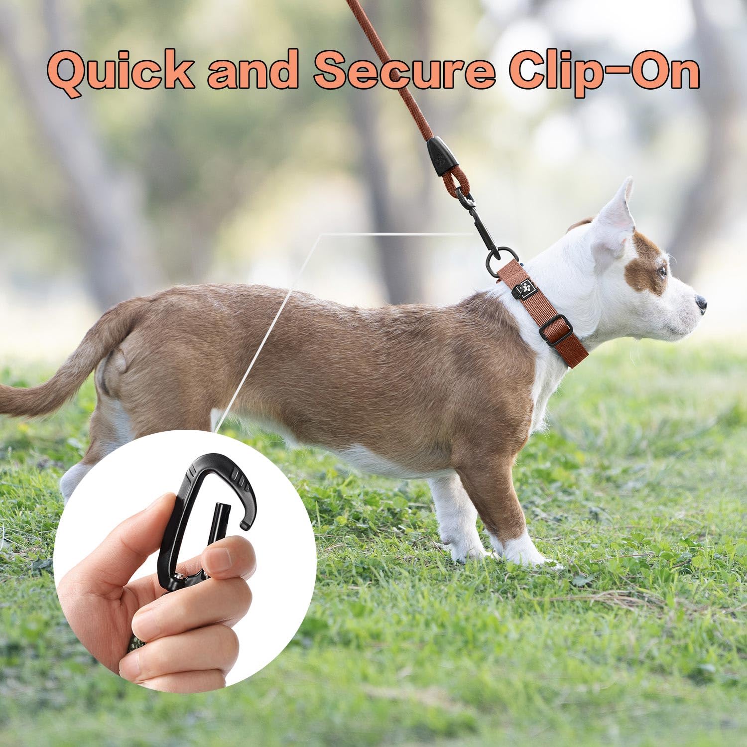 PAWS PASSION heavy-duty dog leash withstands energetic dogs at the park