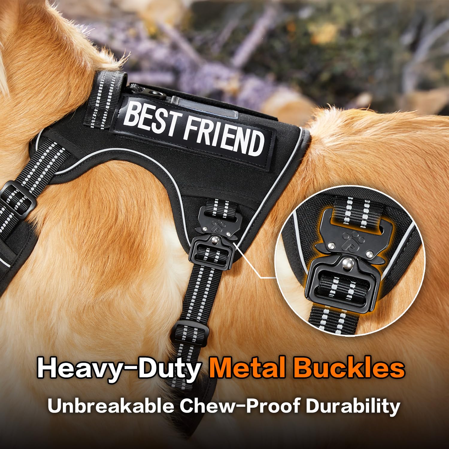 PawsPassion No Pull Harness back clip relaxed walking