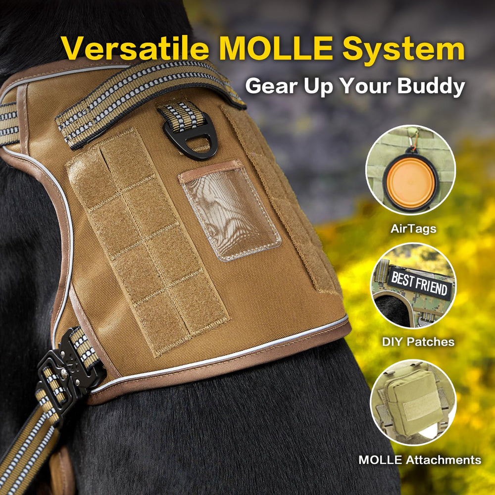 PAWS PASSION no-pull harness back-clip offers relaxed walks with secure, steady guidance.