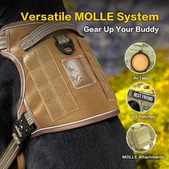 PAWS PASSION no-pull harness back-clip offers relaxed walks with secure, steady guidance.