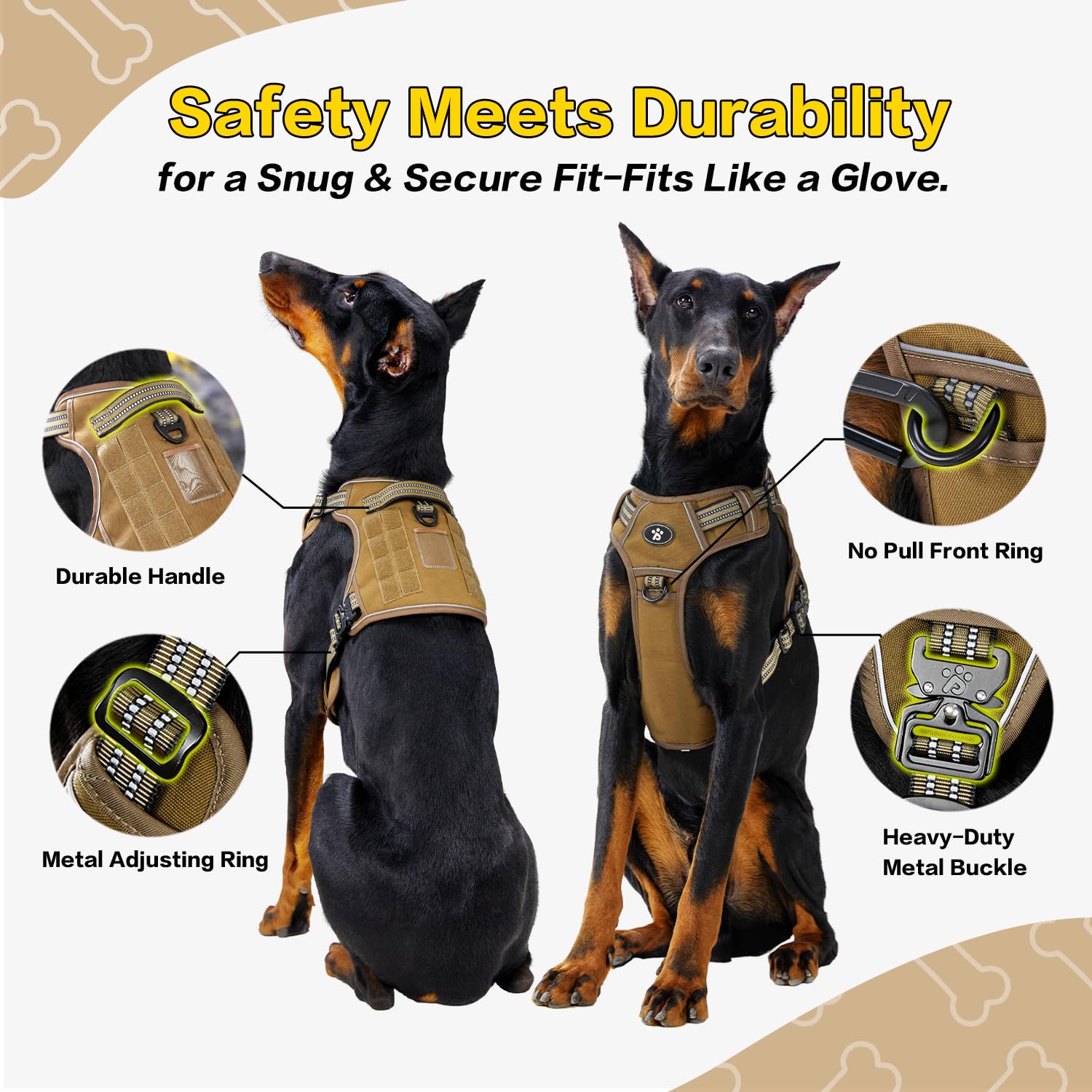 PAWS PASSION durable stitching highlights strong construction for daily use.