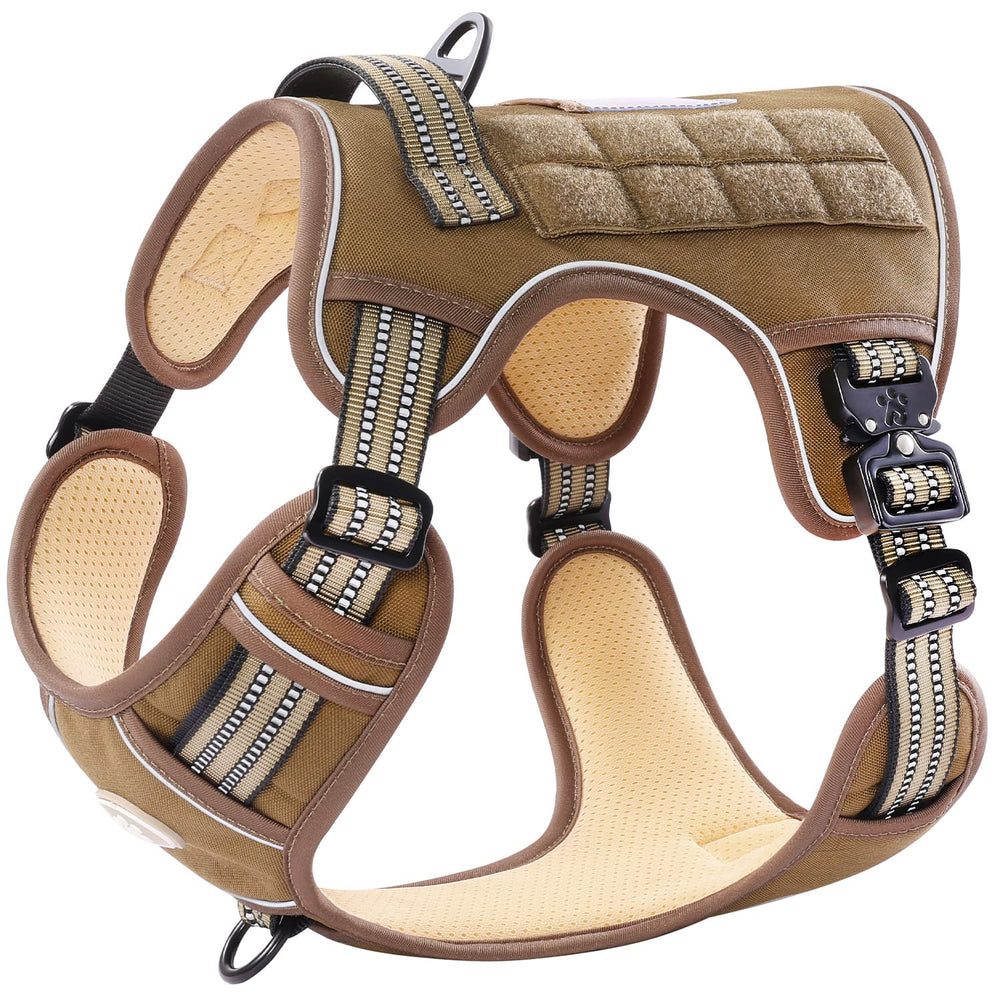 PAWS PASSION no-pull harness front-clip supports gentle control during training sessions.