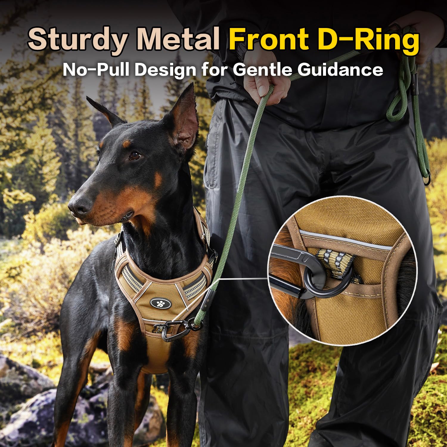 PAWS PASSION harness features reflective strips for higher night visibility and safety.