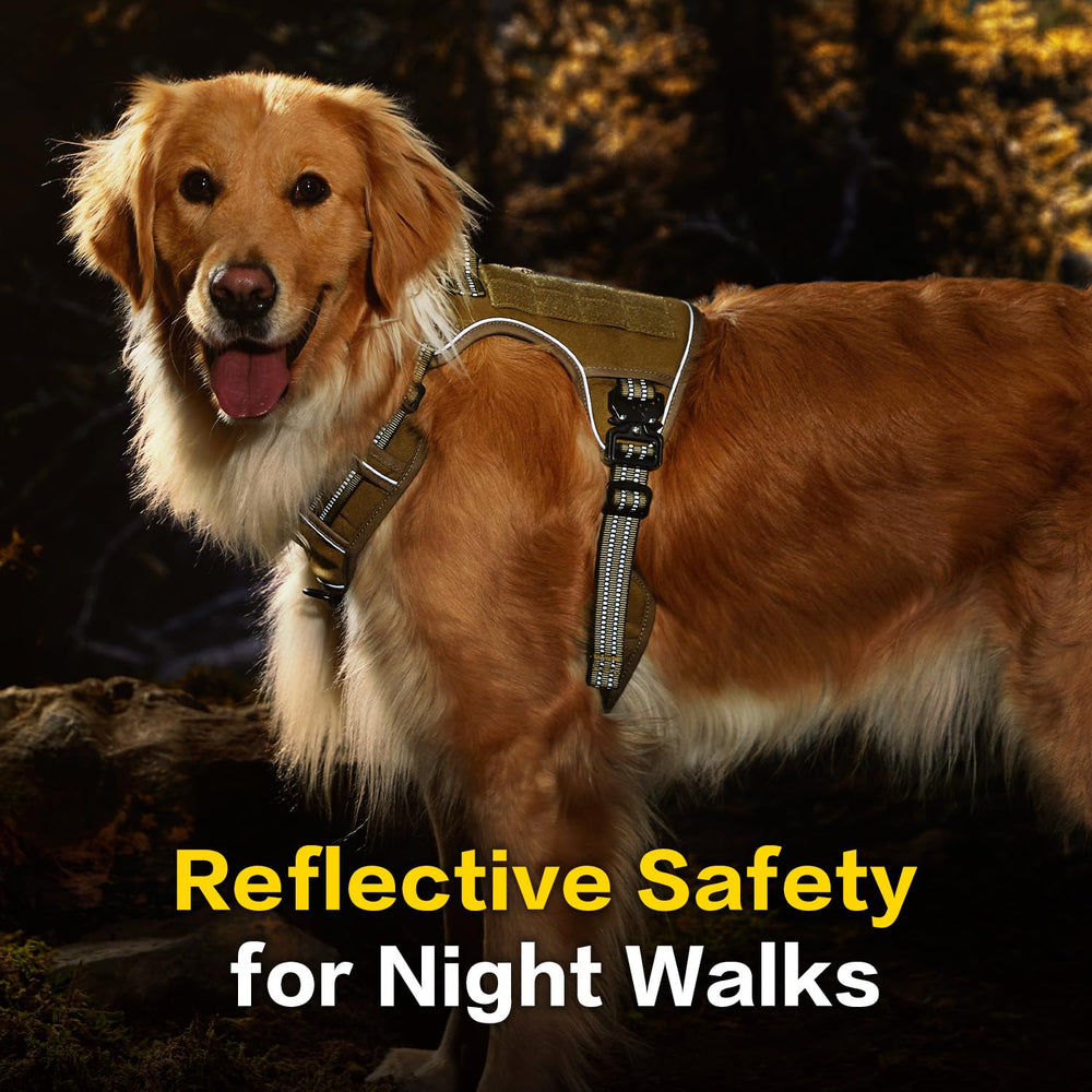 PAWS PASSION universal-size harness fits medium to large dogs with reinforced webbing.