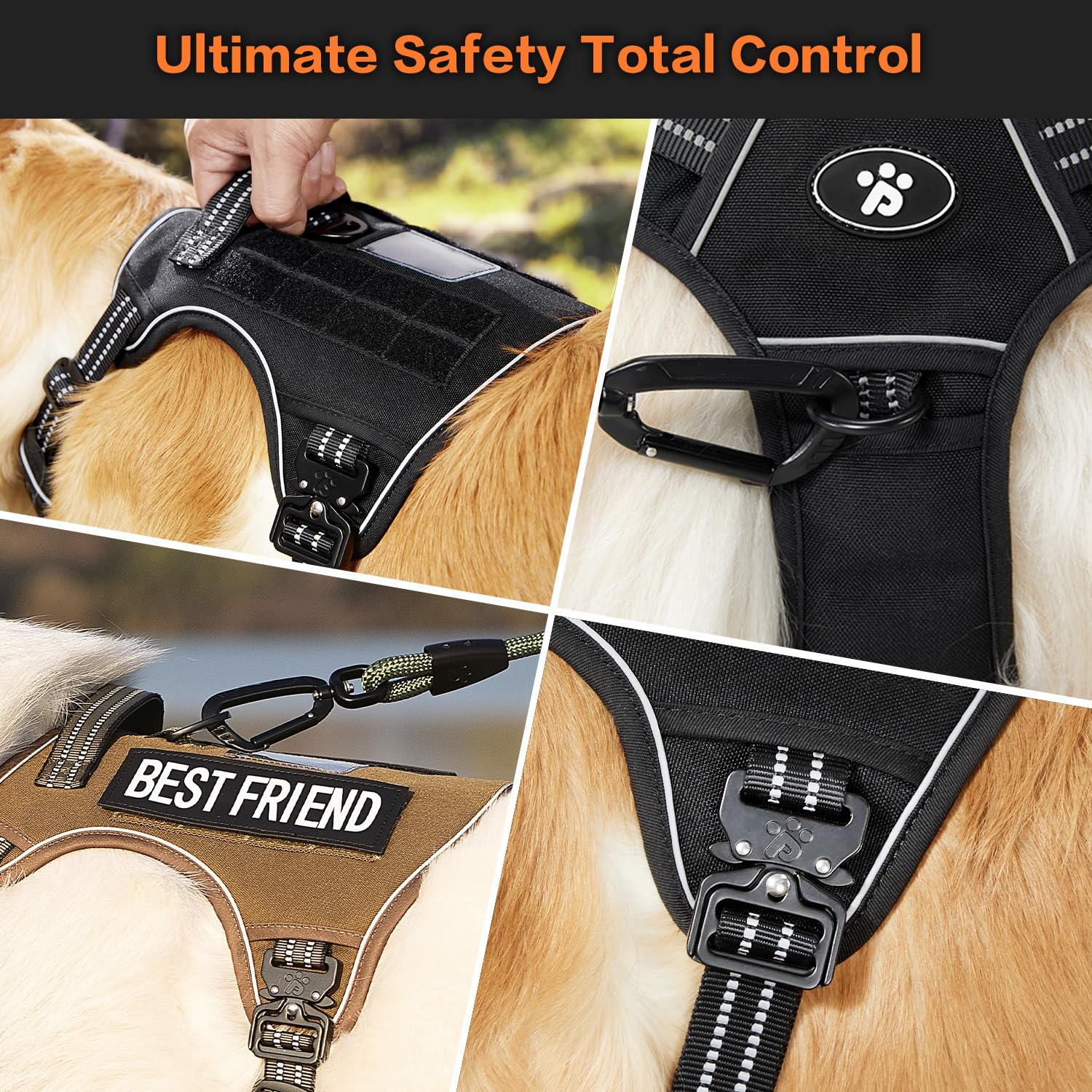 PawsPassion Reflective strips enhance night visibility