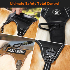 PawsPassion Reflective strips enhance night visibility