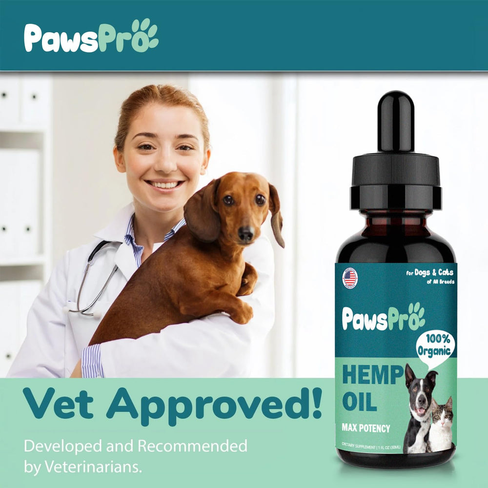PawsPro bedtime sleep scene shows potential for restful nights.