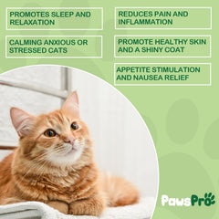 PawsPro for picky eaters: hemp oil tastes great