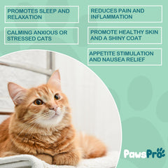 PawsPro treats chews closeup highlights palatable, picky-eater friendly option.