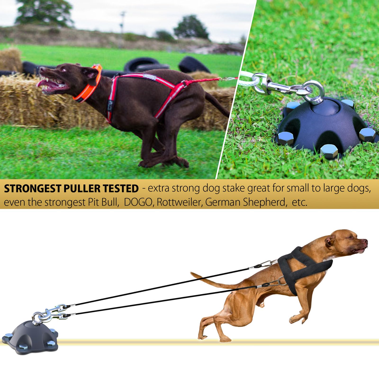 PAWSTATION versatile anchor for cats, dogs, goats, and rabbits