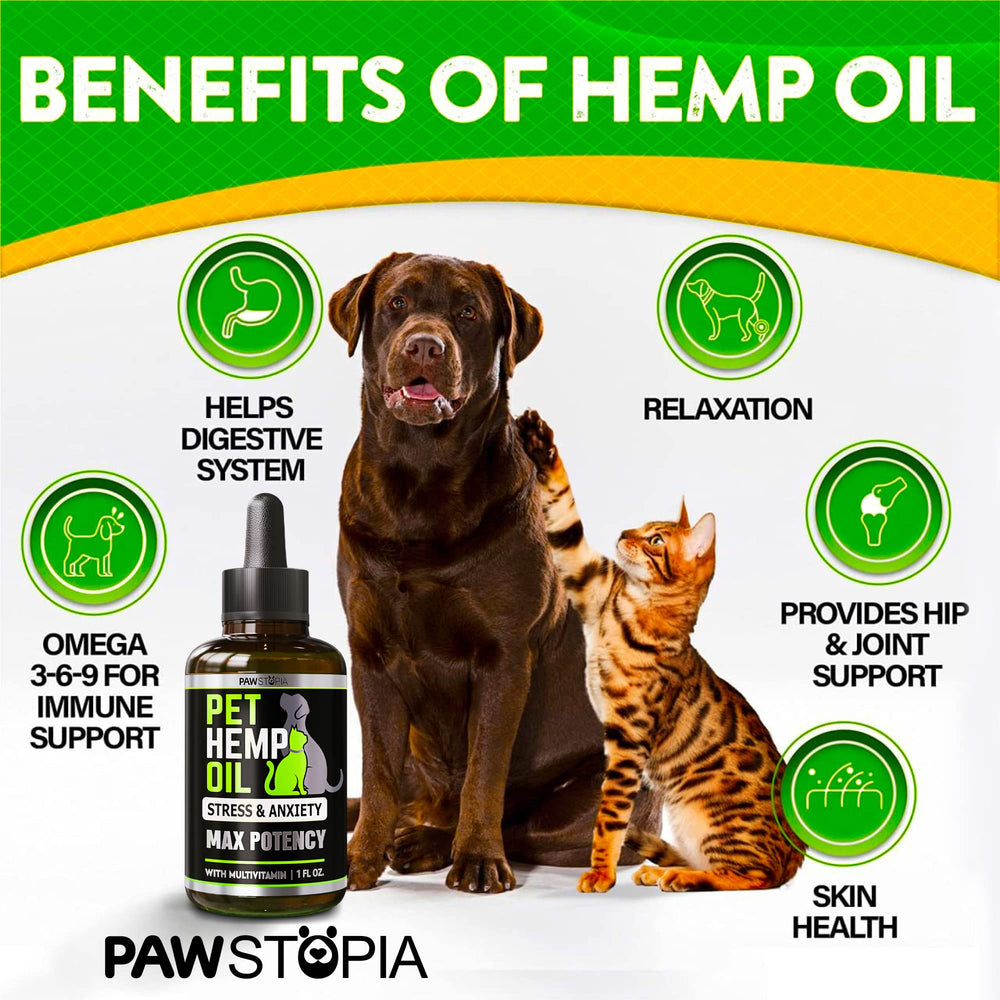 Pawstopia dropper enables easy dosing for anxious pets.