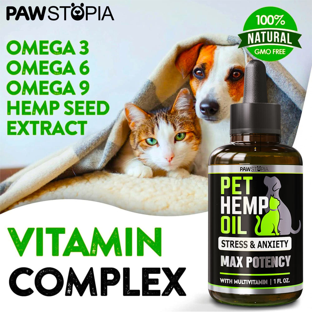Pawstopia hip and joint support imagery suggests improved mobility.