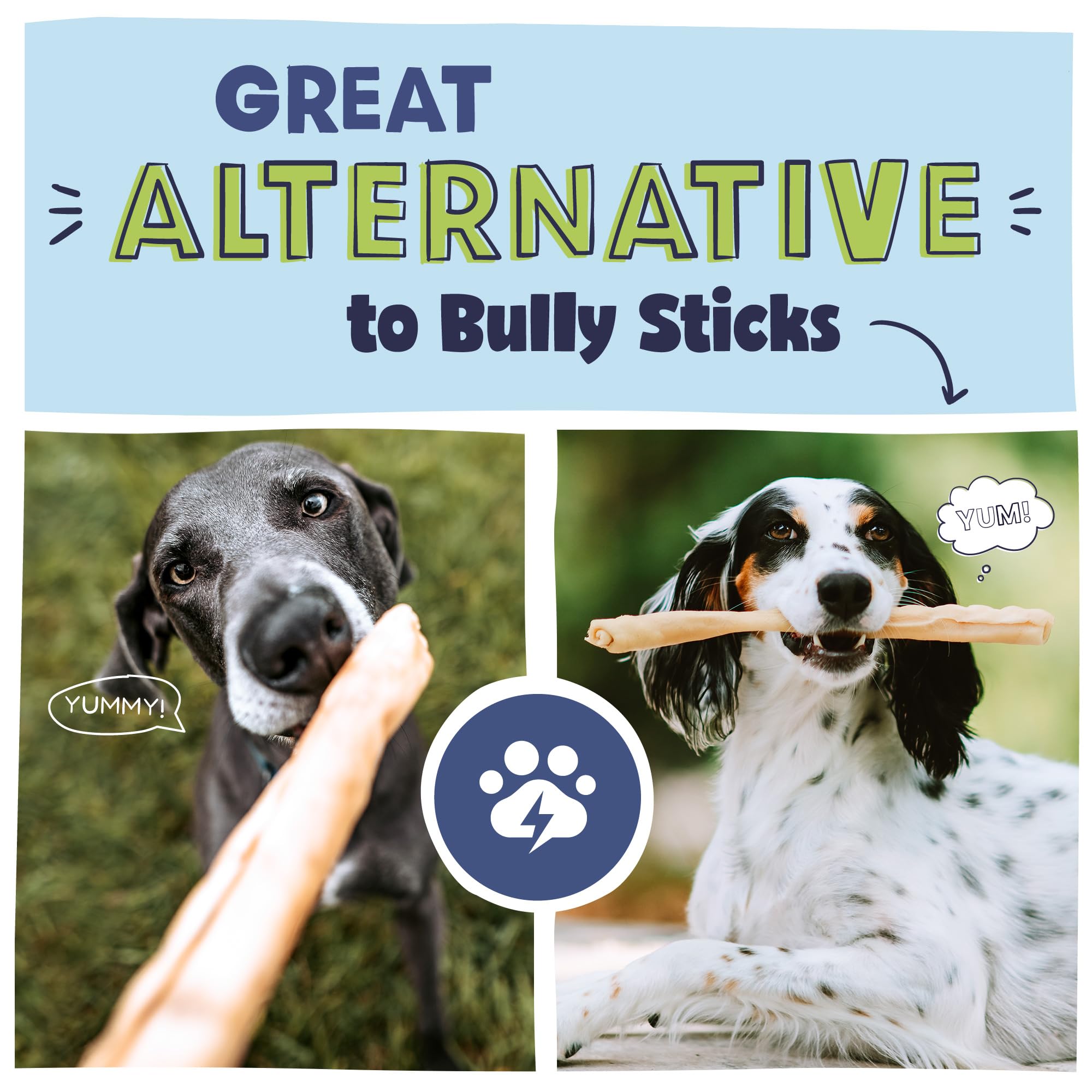 Pawstruck five-pack display—easy bulk buying for households