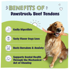Pawstruck Beef Tendon Chew Sticks closeup texture highlights natural chew durability for dogs.