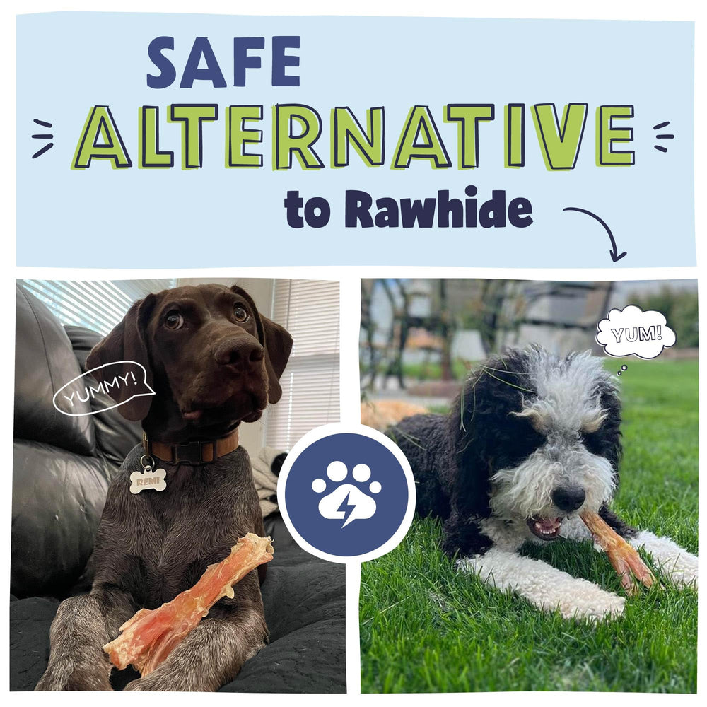 Pawstruck Beef Tendon Chew Sticks dental-use action shows gum-friendly chewing.
