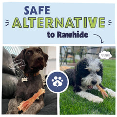 Pawstruck Beef Tendon Chew Sticks dental-use action shows gum-friendly chewing.