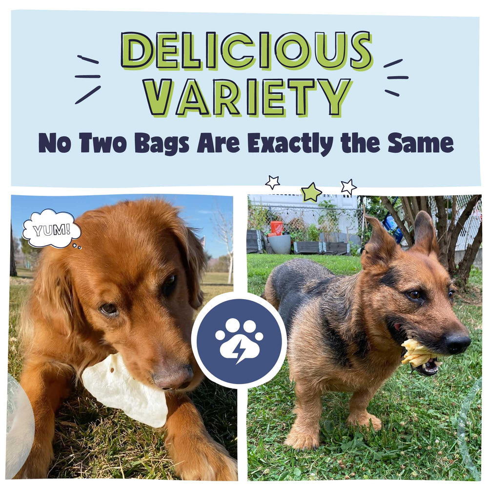 Pawstruck Bizarre Bargain Bag animal ears image showcases flavorful chews ideal for training.