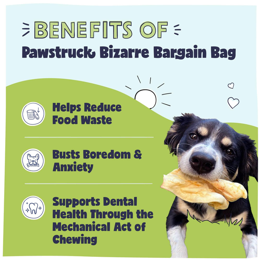 Pawstruck Bizarre Bargain Bag rawhide-free bones image highlights safe, long-lasting chews for all breeds.