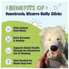 Pawstruck Bizarre Bully Sticks variety pack showing 8-12 inch chews for dogs