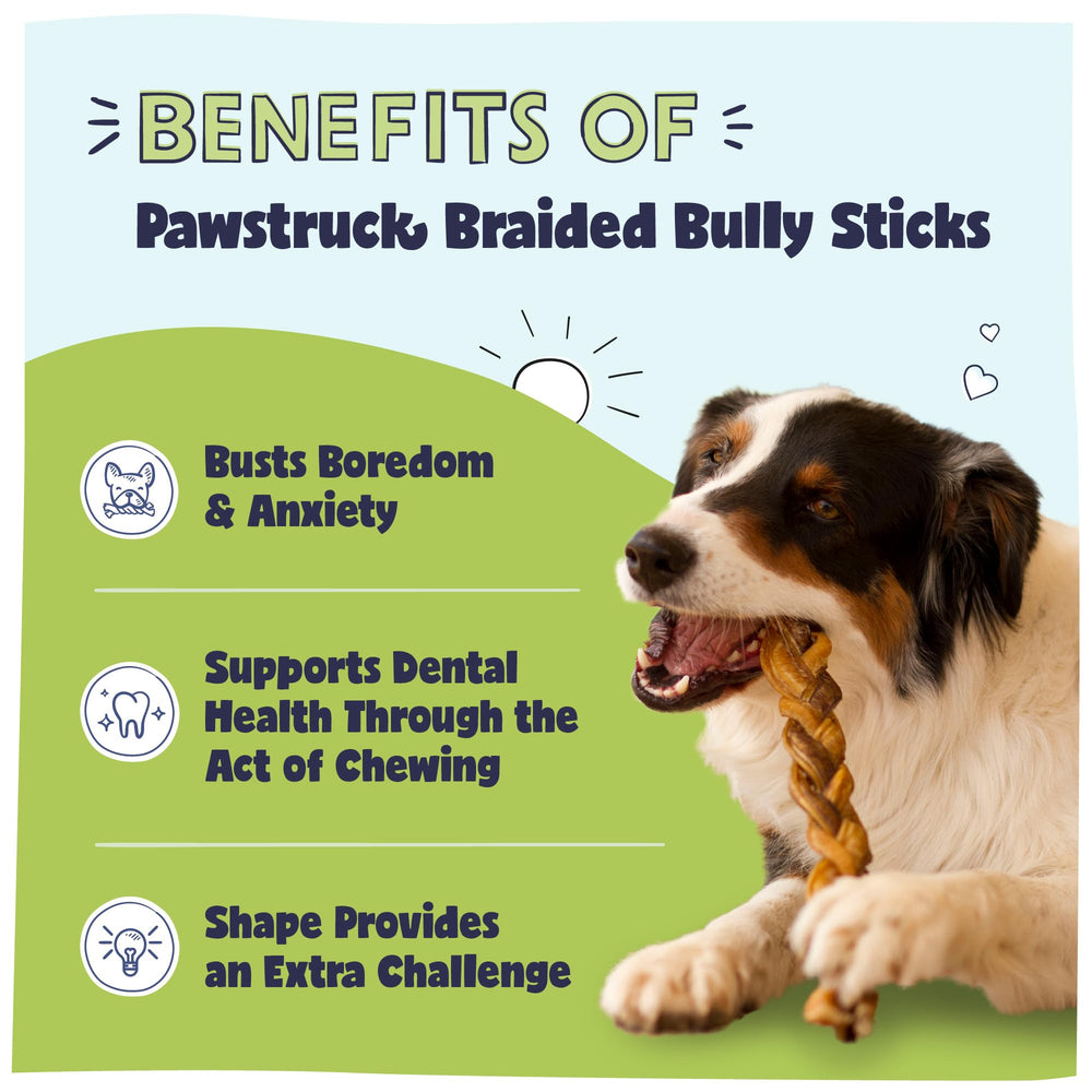 Pawstruck braided bully stick demonstrates a durable chew for long-lasting entertainment.