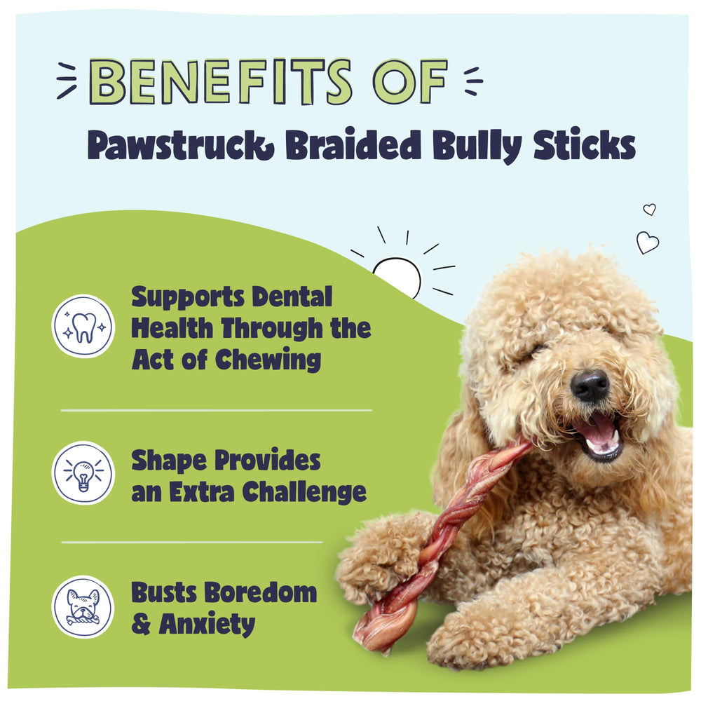 Pawstruck braided bully sticks 12-inch product shot showing durable chew session
