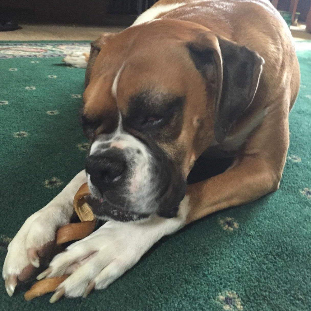 Pawstruck bully stick springs new look packaging maintains quality