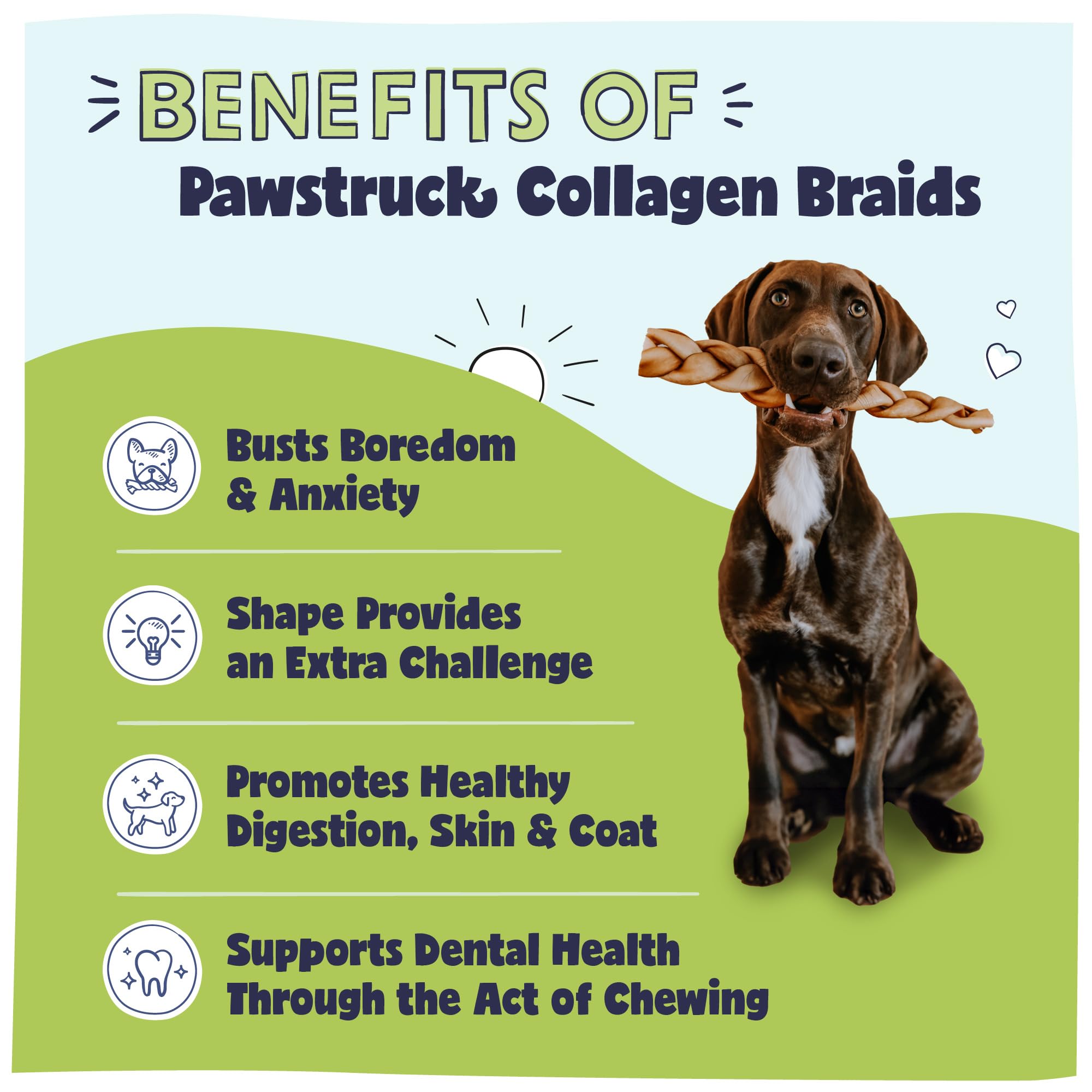 Pawstruck collagen braids closeup texture highlights premium chew for teething and boredom relief