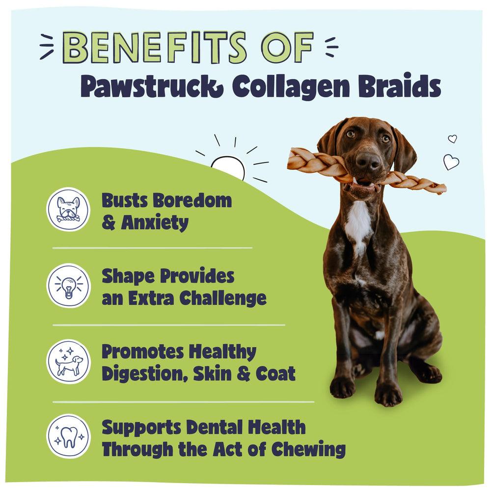 Pawstruck collagen braids closeup texture highlights premium chew for teething and boredom relief