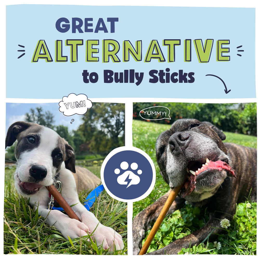 Pawstruck collagen-stick dog chewing action demonstrates engaging, mess-free entertainment.