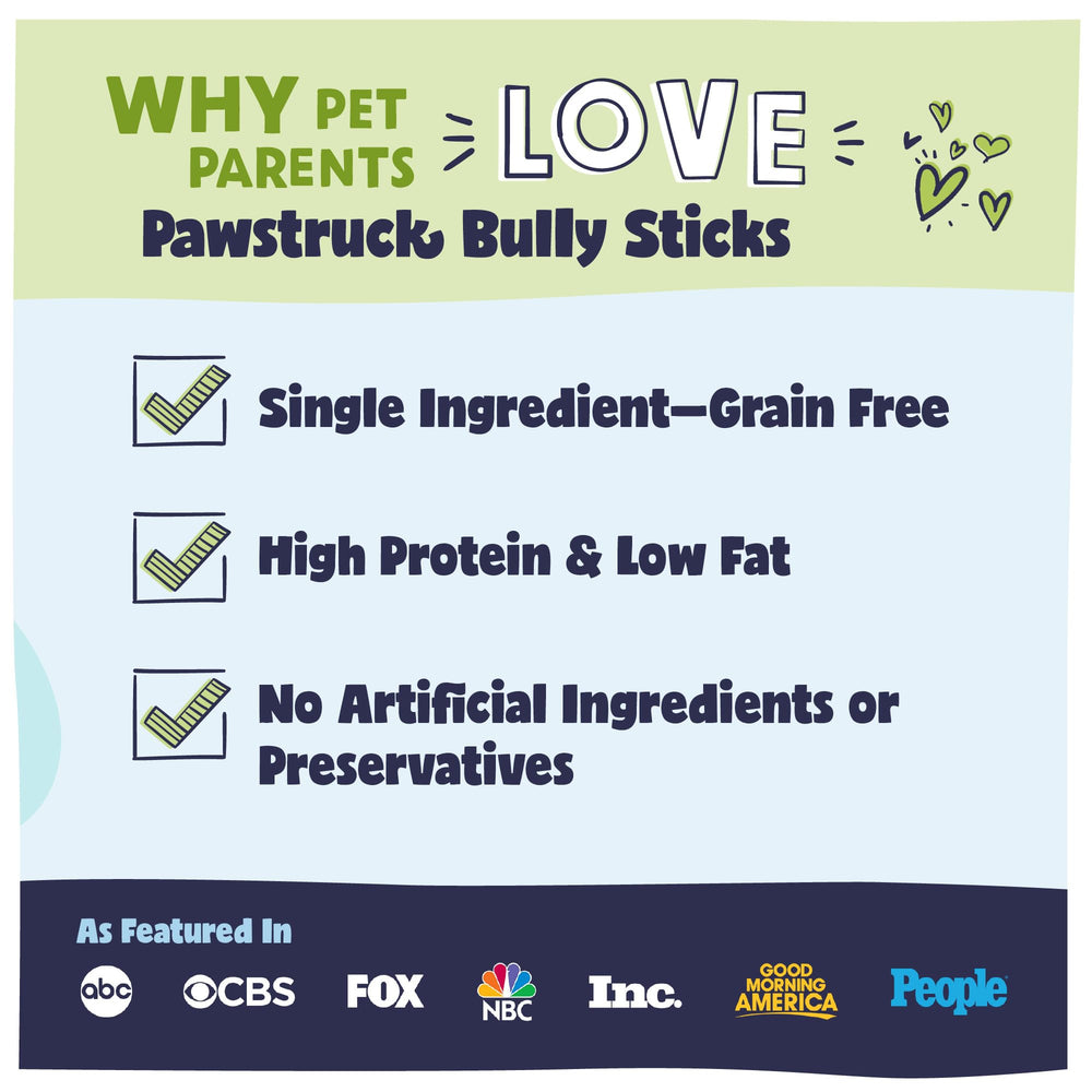 Pawstruck dog chewing small-dog action demonstrating chew time