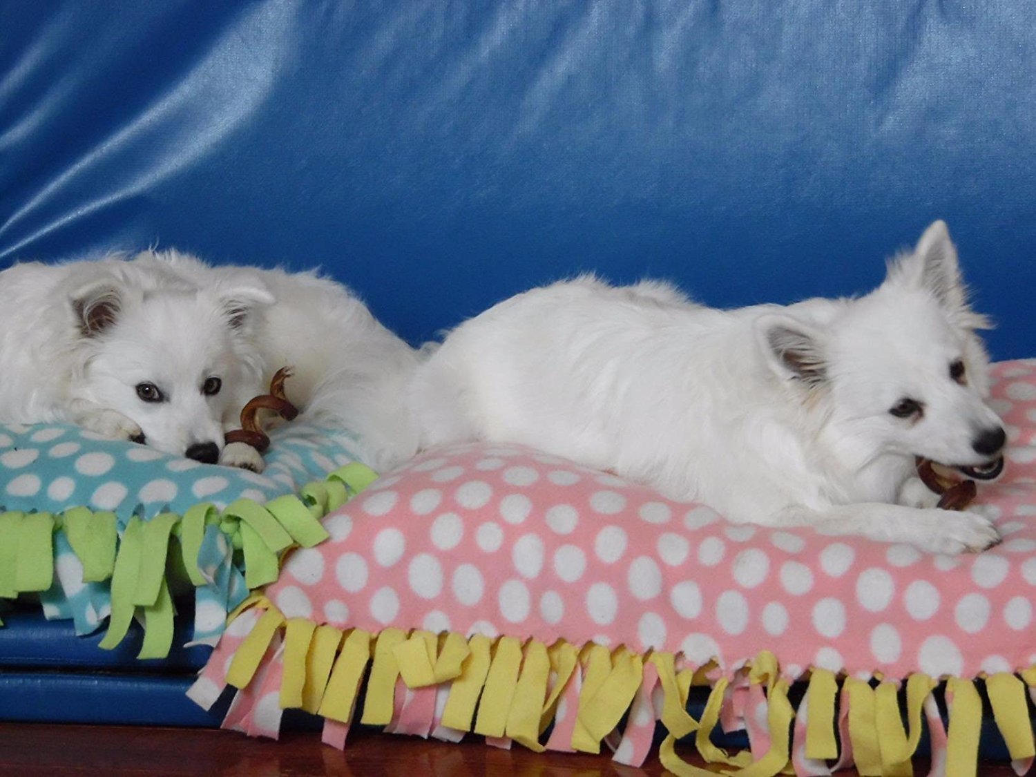 Pawstruck chew helps keep dogs occupied, potentially reducing boredom.