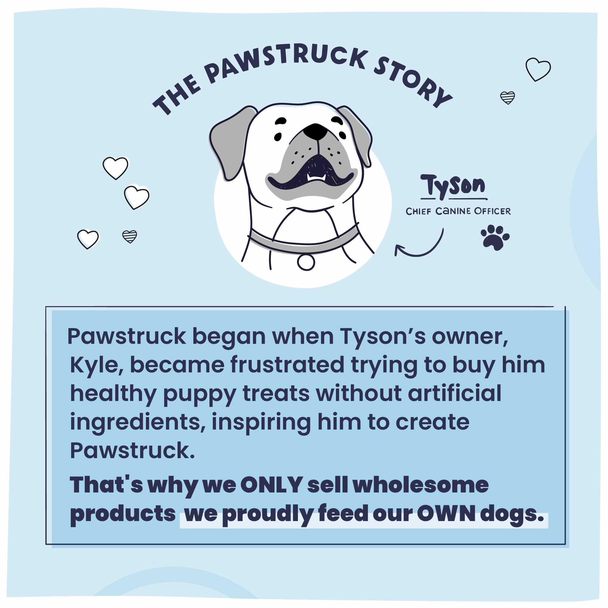 Pawstruck long-lasting chew supports focus and reduces boredom.