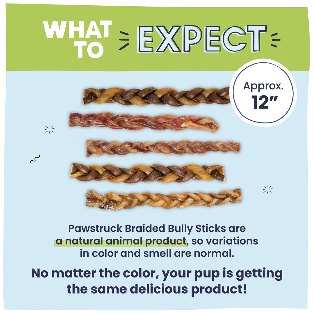 Pawstruck Natural 12-inch braided bully stick aggressive-chewers ideal longer chew sessions.