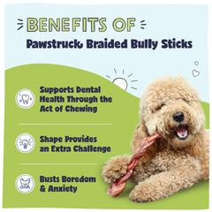 Pawstruck Natural 12-inch braided bully stick closeup texture highlights a chewy, single-ingredient treat.