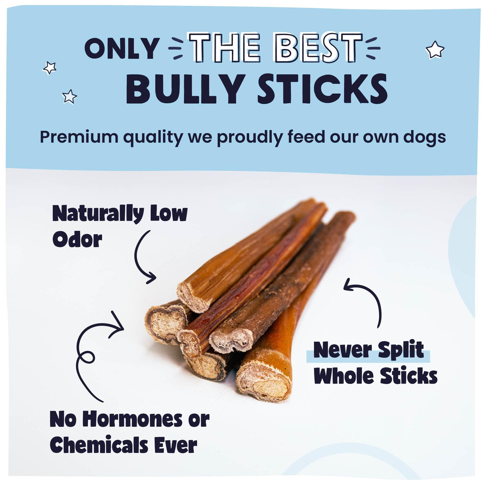 Pawstruck Natural 5-8in bully sticks in tray – natural beef chew