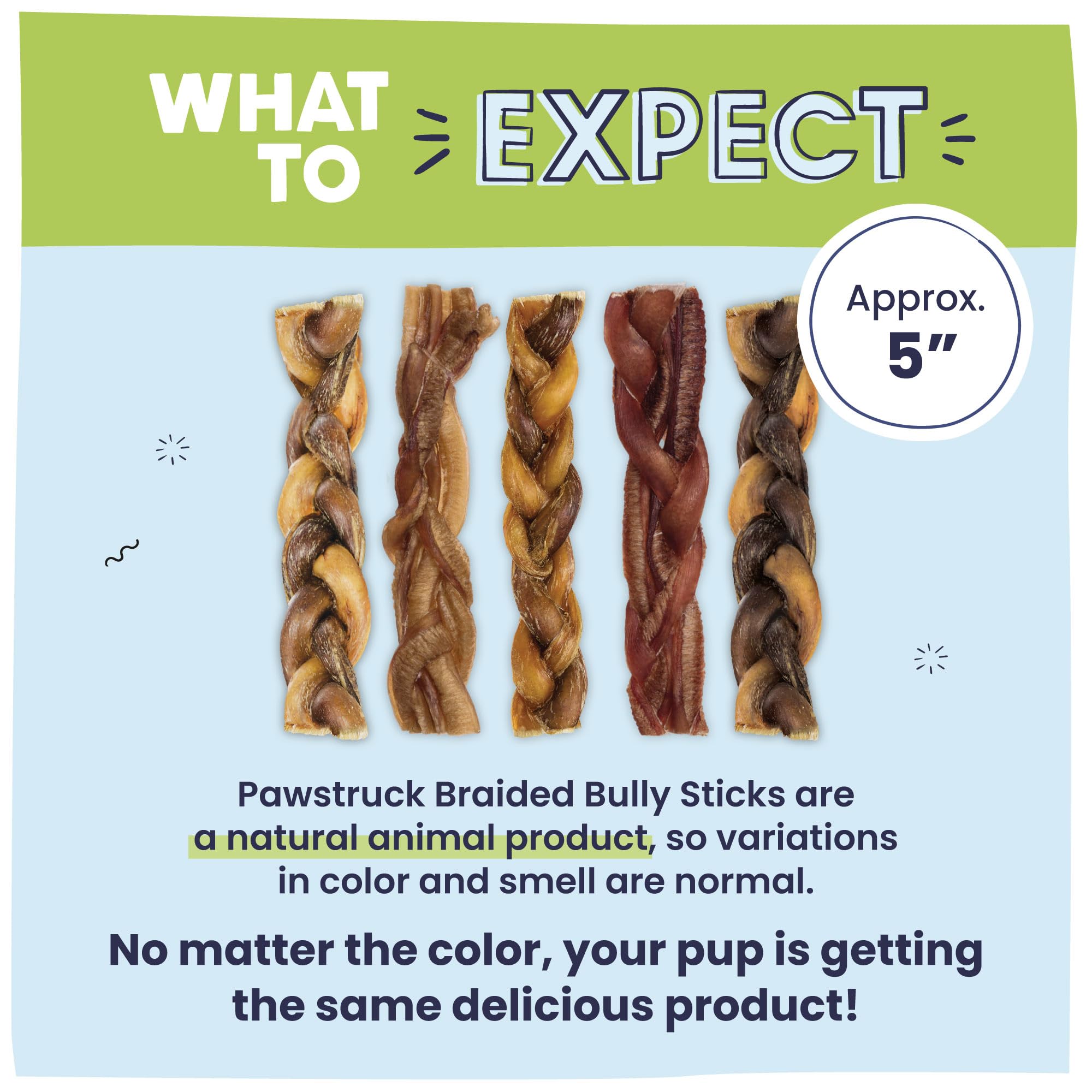 Pawstruck Natural 5in braided bully stick low-odor; friendly for home use