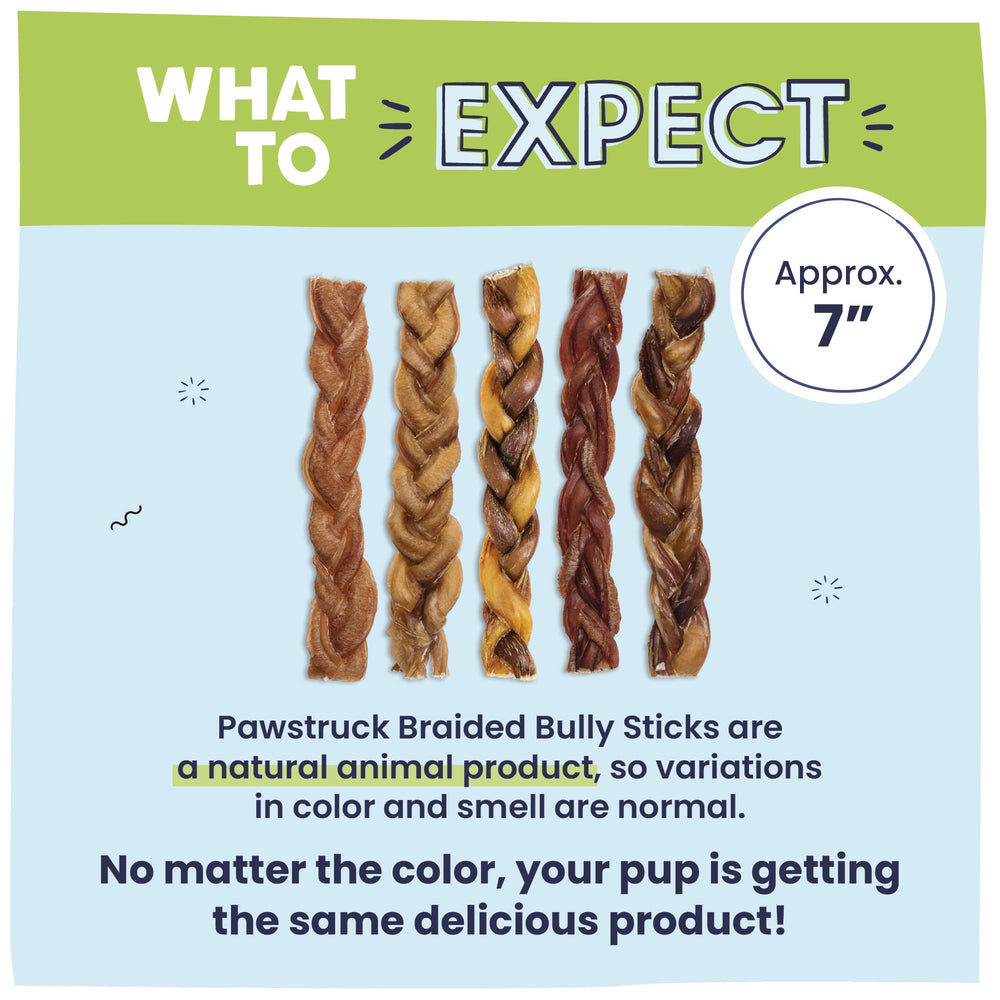 Pawstruck Natural 7-inch braided bully sticks rawhide-free design for dogs