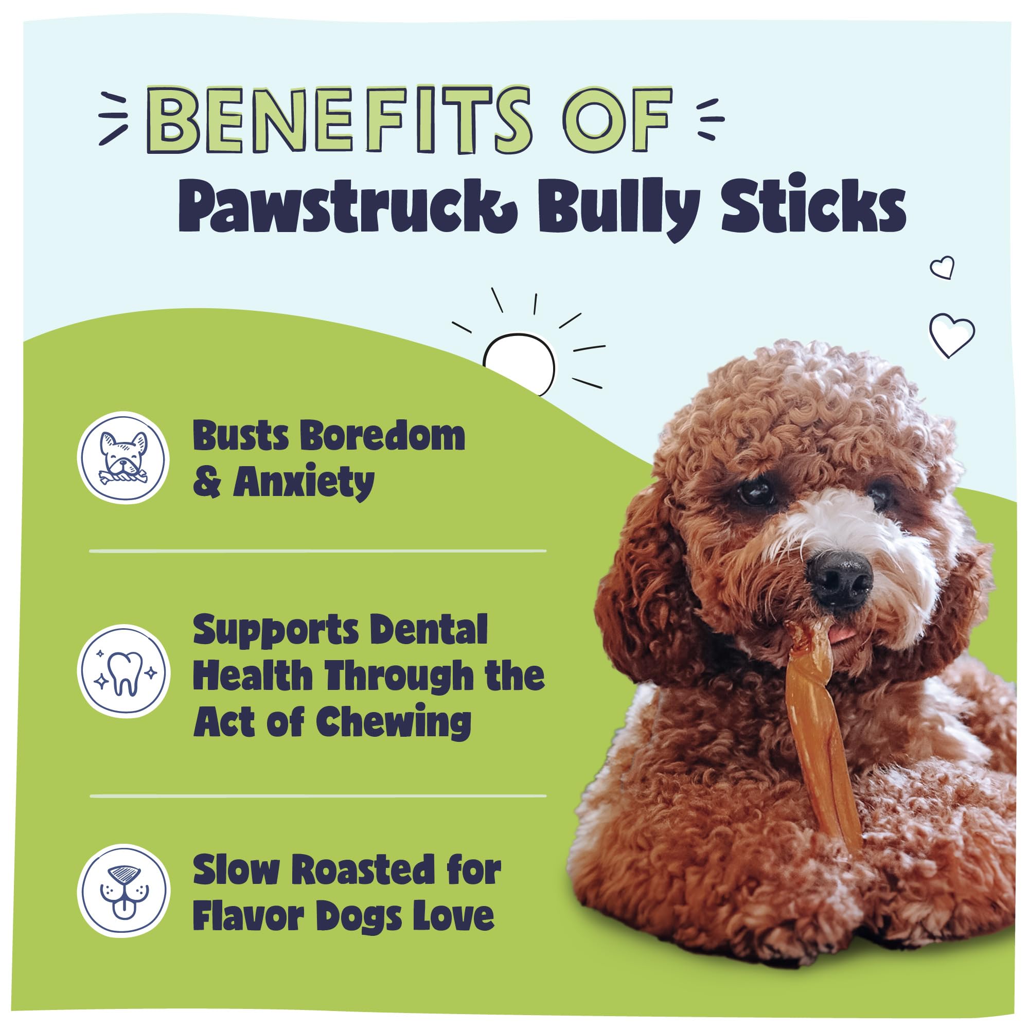 Pawstruck Natural bully sticks ingredient label close-up highlighting single-ingredient beef pizzle