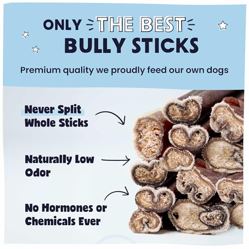 Pawstruck Premium Bully Sticks beef pizzle closeup highlighting natural single-ingredient flavor