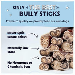 Pawstruck Premium Bully Sticks beef pizzle closeup highlighting natural single-ingredient flavor