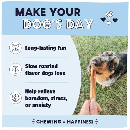 Pawstruck Premium Bully Sticks being chewed demonstrates long-lasting stimulation