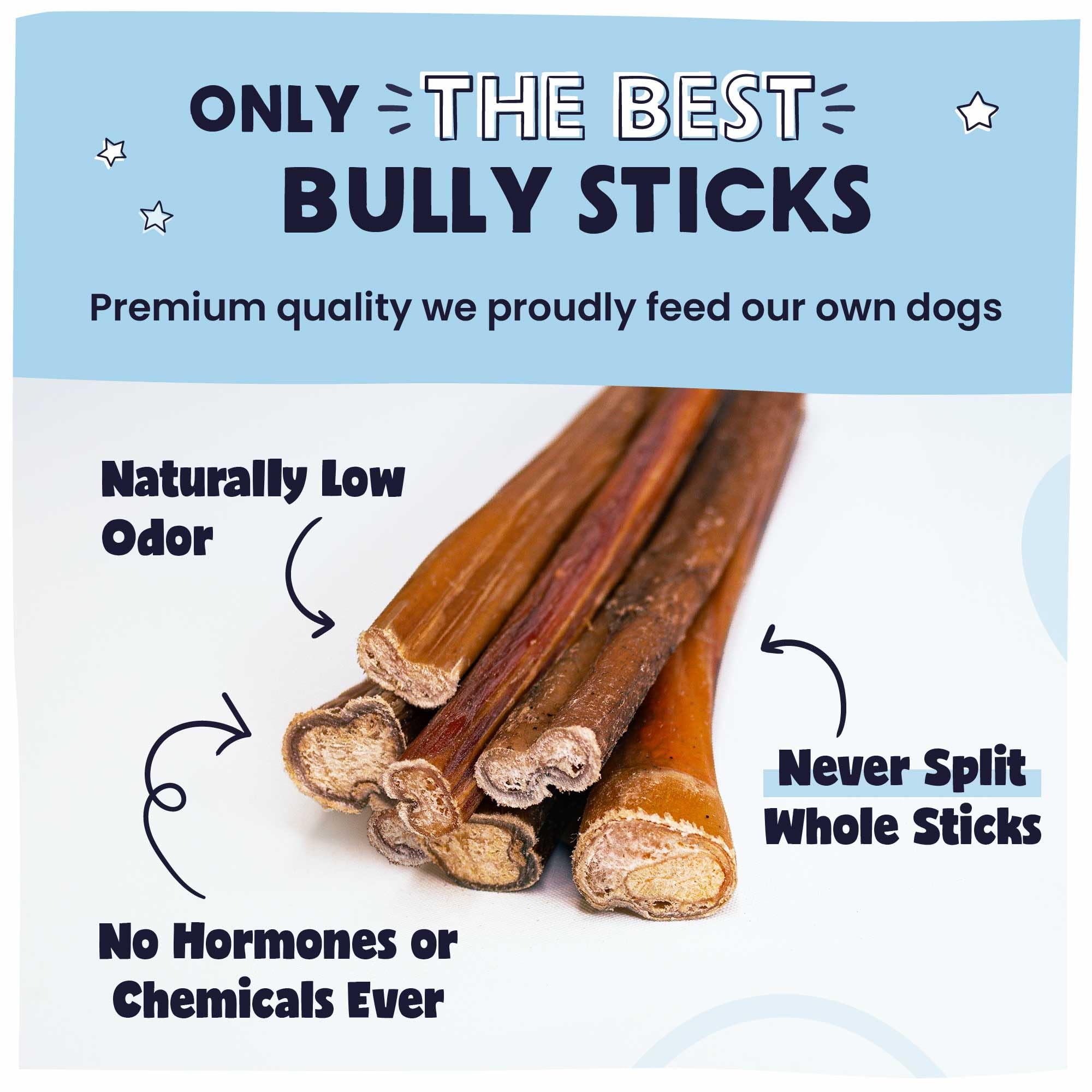 Pawstruck rawhide-free dog chew, a safer alternative for chewing sessions.