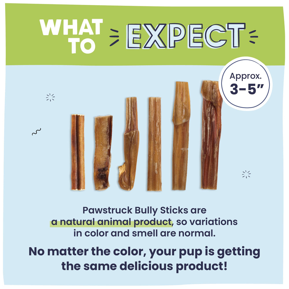 Pawstruck rawhide-free chew option for small dogs offering long-lasting entertainment