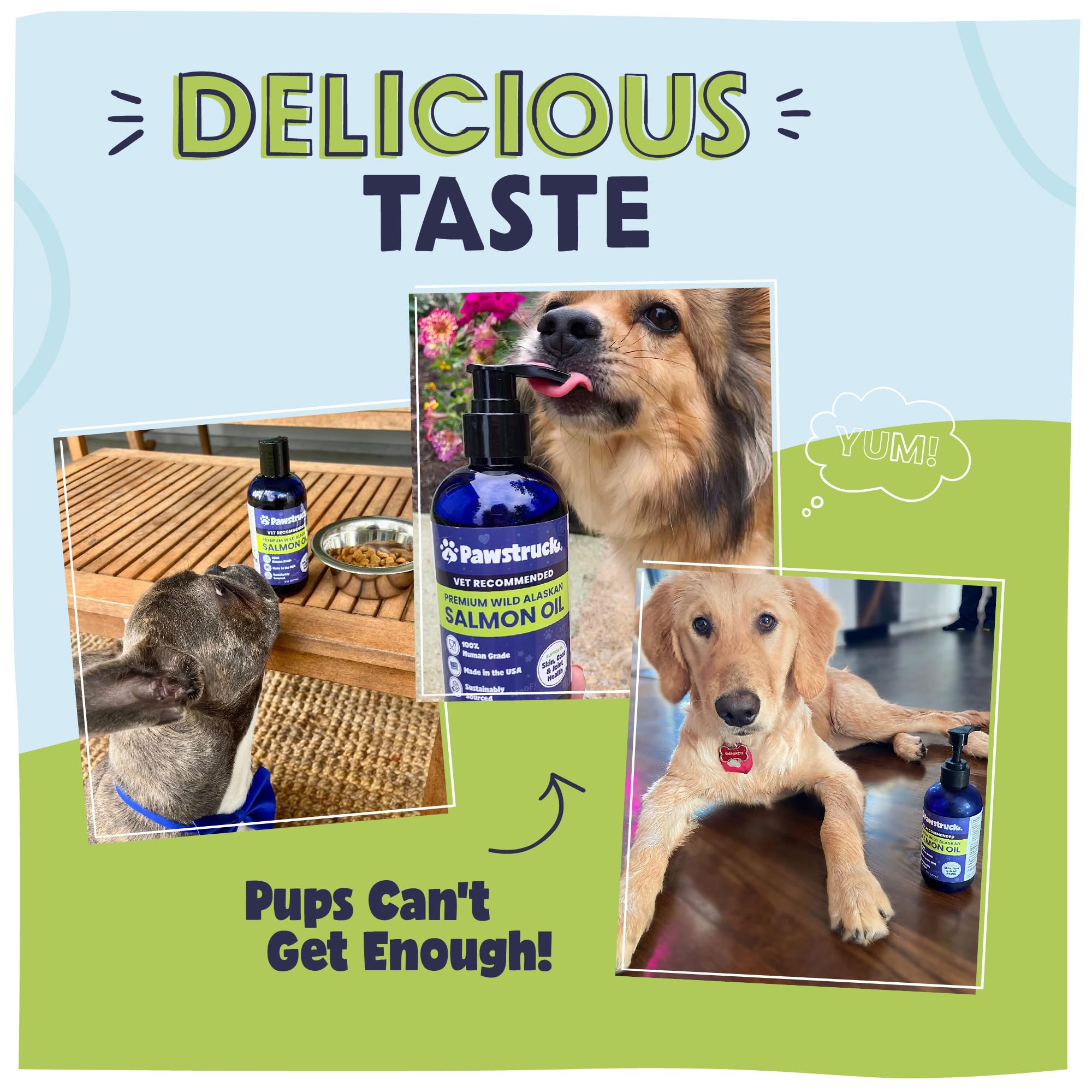 Pawstruck salmon oil nutrition label close-up highlights omega-3 benefits for joints.