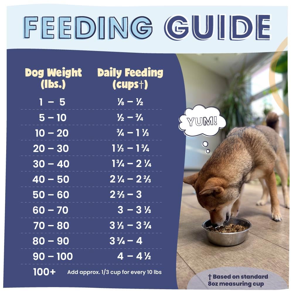 Pawstruck bowl scene for small to large breeds showing feeding versatility